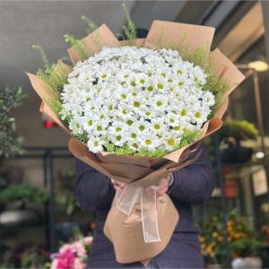  Antalya Çiçekci  - Papatya & Gerbera