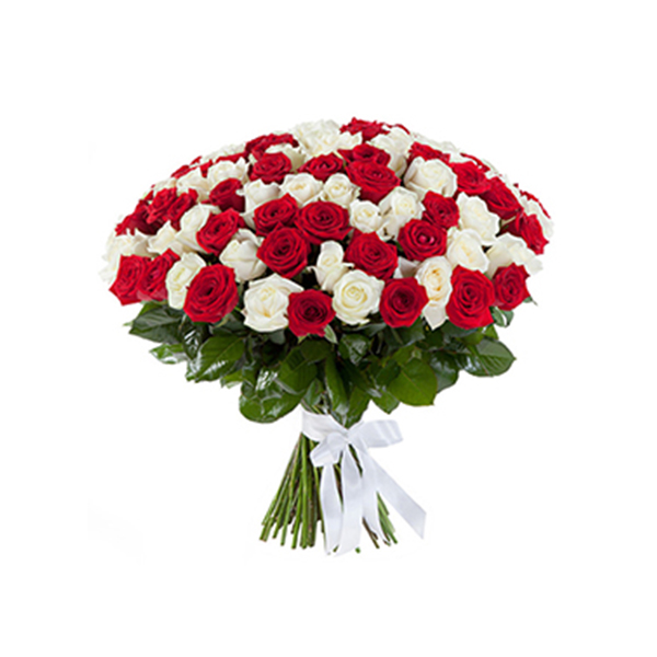  Antalya Çiçek Gönder 101 Beyaz ve Kırmızı Gül