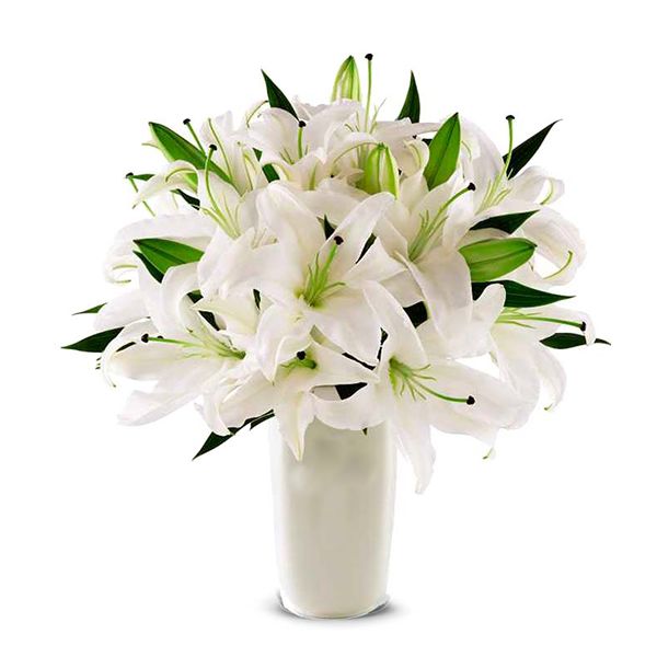  Antalya Çiçekci  Vazoda Beyaz Lilyumlar
