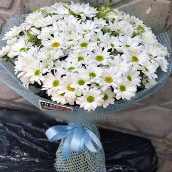  Antalya Çiçekçiler Beyaz Kasımpatı Buketi