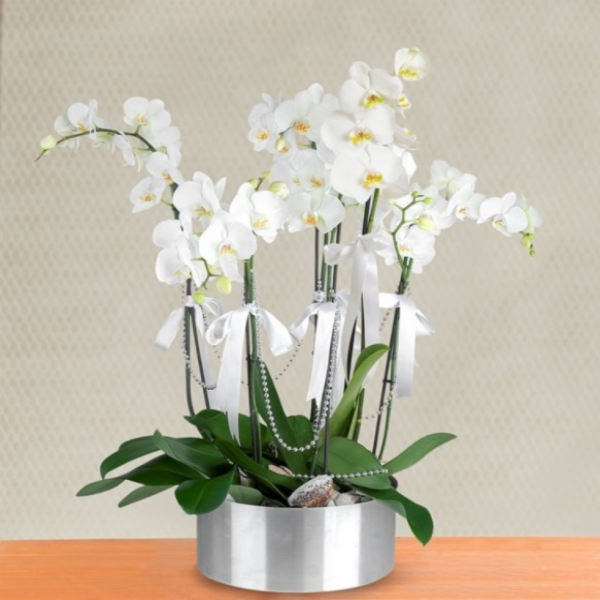 6 Dal Beyaz Orkide Aranjmanı Resim 2