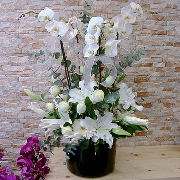  Antalya Çiçek Siparişi Siyah Kutuda Beyaz Orkide Kazabilanka Beyaz Gül Arajman