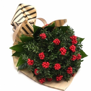  Antalya Çiçekci  - Beyaz Orkide (Çift Dallı)