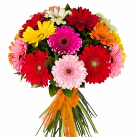  Antalya Çiçek Siparişi Renkli Gerbera Buketi
