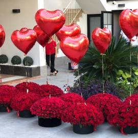  Antalya Çiçekçiler 1001 Gül Kutu Arajman ve Balonlar