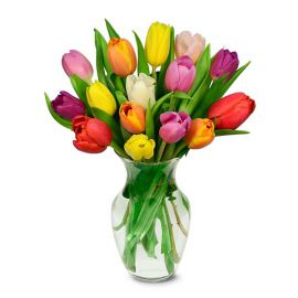  Antalya Çiçek Siparişi Vazoda 15 Renkli Lale