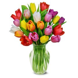 Antalya Çiçek Siparişi Vazoda 20 Renkli Lale