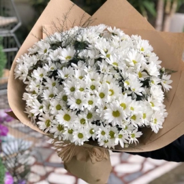  Antalya Çiçekçiler Papatya Kır Buketi