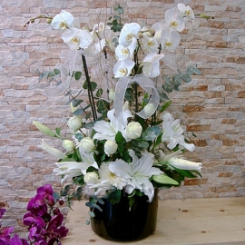  Antalya Çiçek Siparişi Siyah Kutuda Beyaz Orkide Kazabilanka Beyaz Gül Arajman